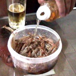 �|�͂���܂�